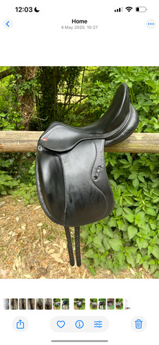 John whitaker black - whitaker,