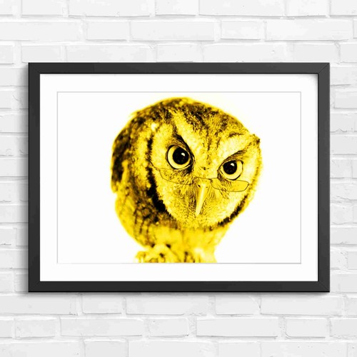 Wisdom owl with glasses yellow - wisdom,