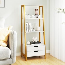 4-Tier Ladder Shelf with 2
