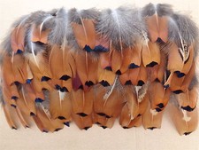 100 Cock Pheasant Flank Feathers 2" to 5" - Jewellery Crafting, Fly Tying