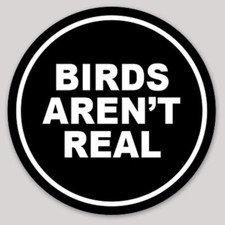FUNNY BUMPER STICKER BIRDS AREN'T REAL