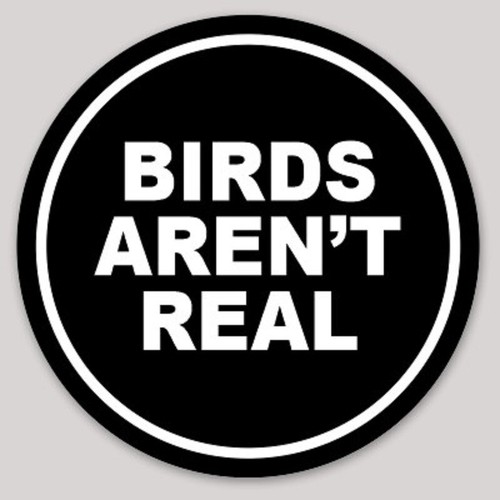 Funny bumper sticker - sticker, birds