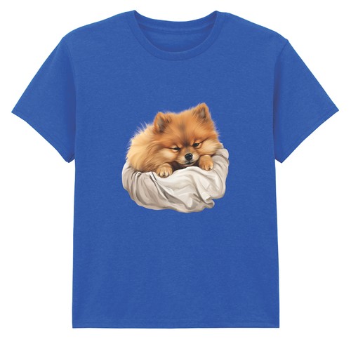 Pomeranian puppy dogs animals - pomeranian,