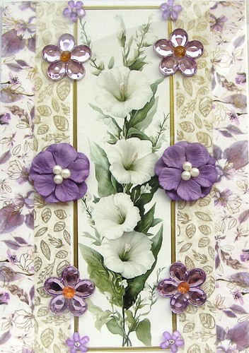 White flower blooms hand - flower,