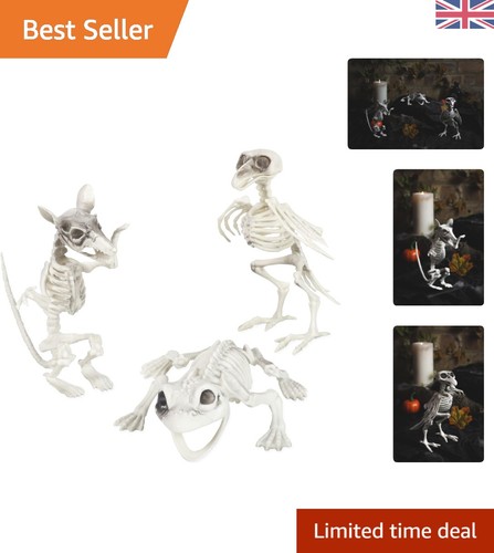 Versatile pack creepy - 3,