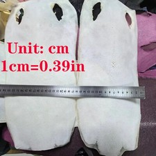 7in Real Stingray Fish Skin
