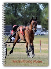 A5 HORSE SULKY TROTTER HARNESS