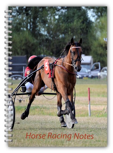 Horse sulky trotter - horse,