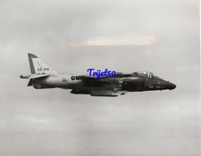 10x8 photo harrier - 10x8, gr5