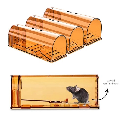 Mouse trap humane live - mouse,