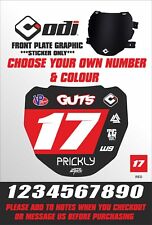 ODI DH Mountain Bike Front