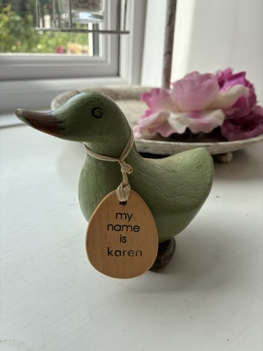 Dcuk wooden green duck - wooden,