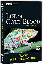 David attenborough life - david, in