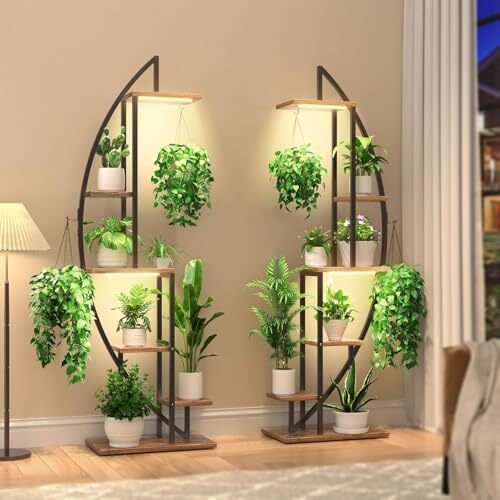 Plant stand indoor - plant,
