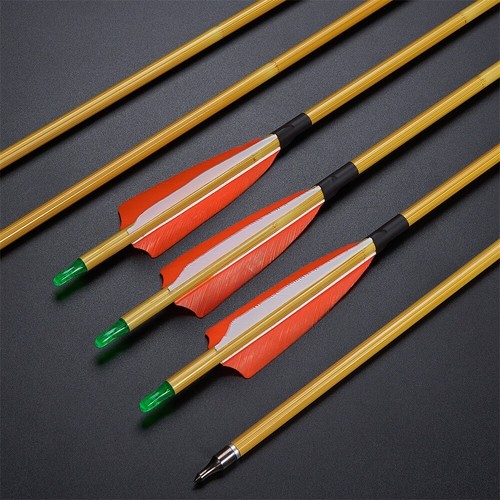 12x carbon arrows sp500 - 30",