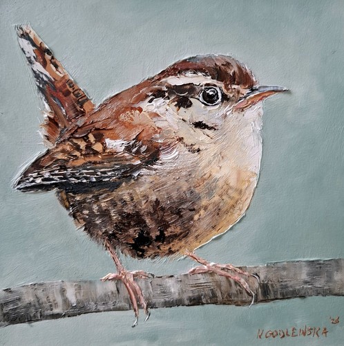 Wren portrait fine art - portrait,,