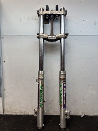 Kawasaki 1989 250 front - 1989, fork