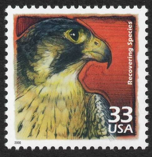 3191g mnh recovering - -,