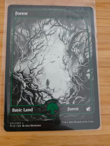 Mtg forest 277 - forest, (full