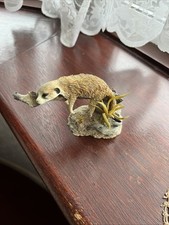 Country artists Meerkat