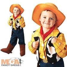 Platinum Woody Toy Story Fancy