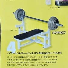 Miniature Japan Gold's Gym