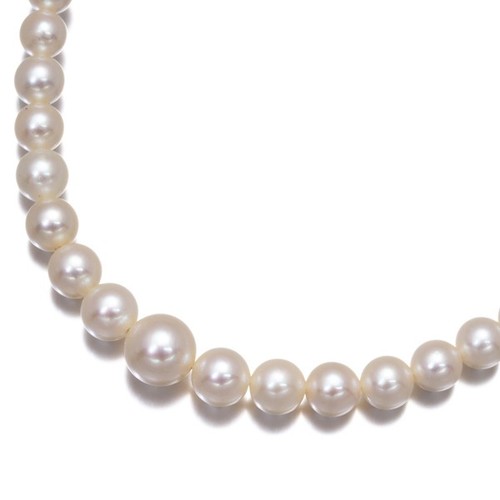 Auth mikimoto necklace akoya - auth,