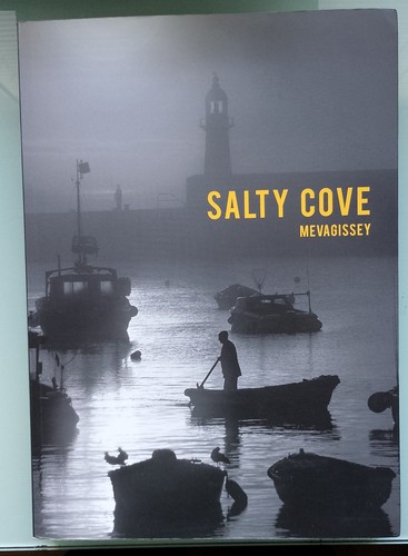Salty cove mevagissey - salty,
