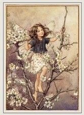 Flower fairies random - fairies,