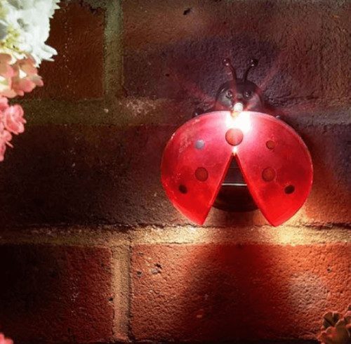 Smart solar ladybird bug - solar, light