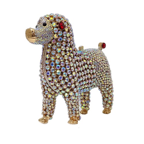 Cute poodle evening - evening, dog