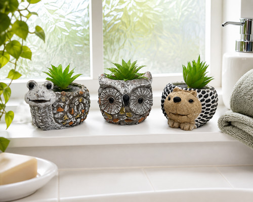 Cute animal concrete succulent - animal,