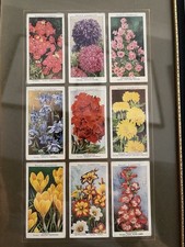 Vintage Wills Cigarette Cards
