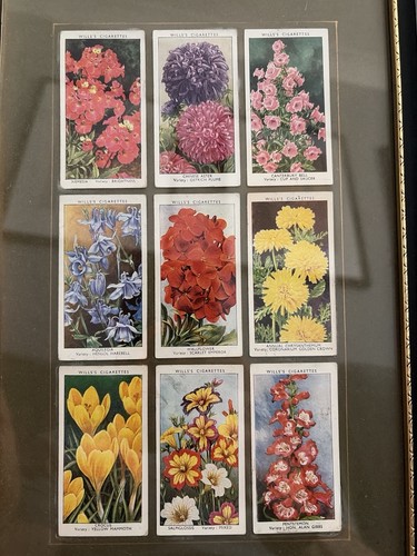 Vintage wills cigarette cards - wills,