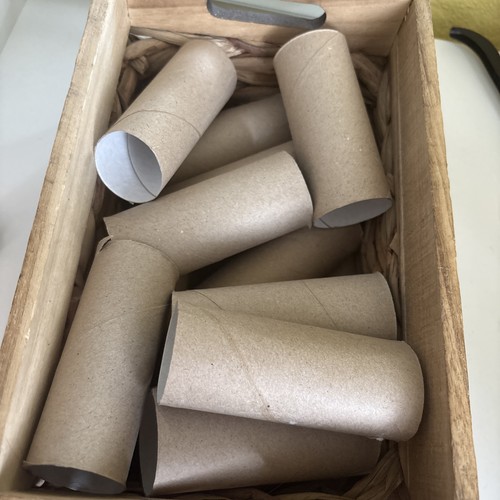 Empty toilet roll tubes pack - tubes,