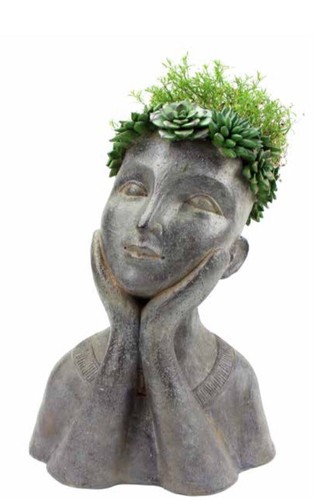 Flower girl planter succulent - flower,
