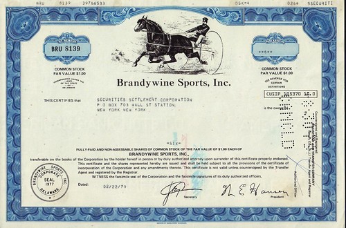 Brandywine sports inc - brandywine,