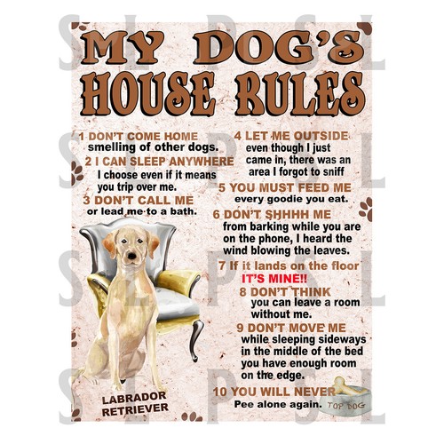 Dog house rules - my, dog's