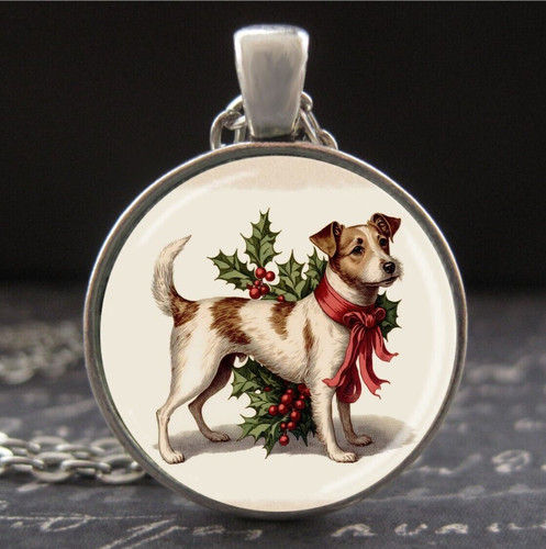 Jack russell terrier dog - jack,