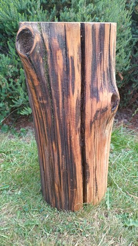 Tree stump seat - , table