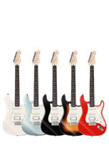 🎸Donner Q1 DST Electric