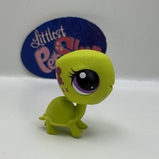 TURTLE #3524 - Authentic