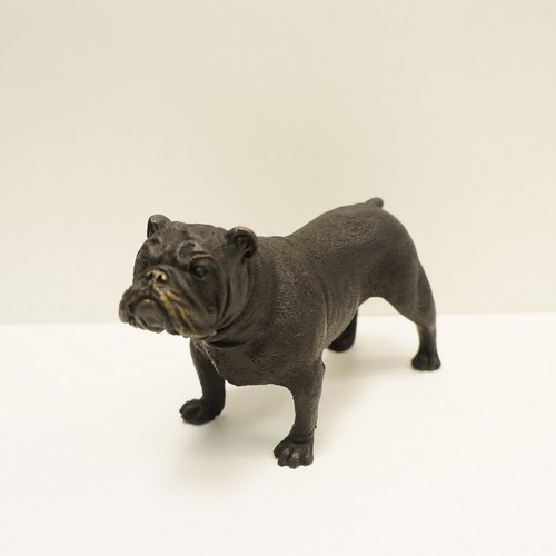 Statue dog bulldog wildlife - statue,
