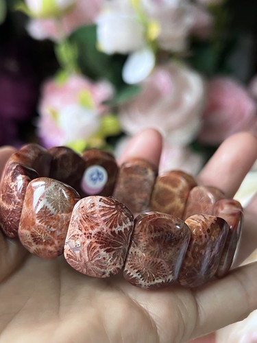 Natural agatized coral fossil - natural,