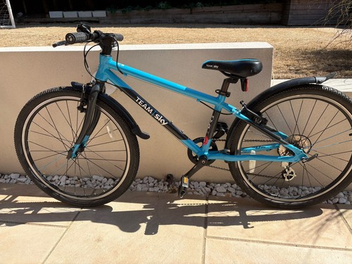 Frog blue 20 - (team, 20"