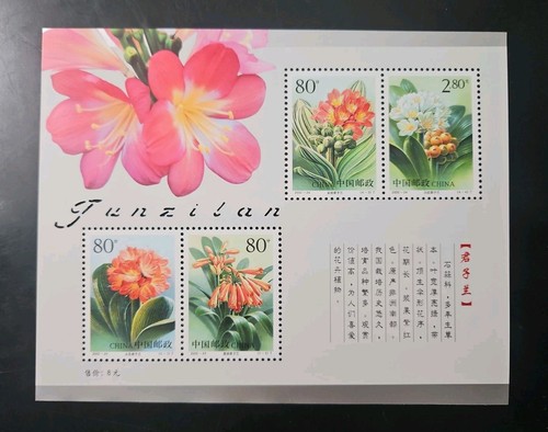 2000 24m china clivia - clivia, flowers