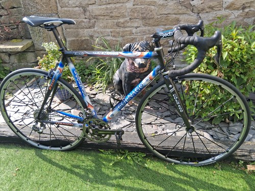 Colnago c40 classic - colnago,