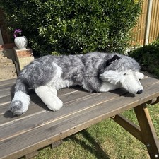 Husky malamute puppy dog - husky,