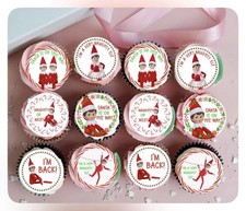 12 X Pre Cut Edible Icing