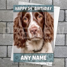 Springer Spaniel birthday